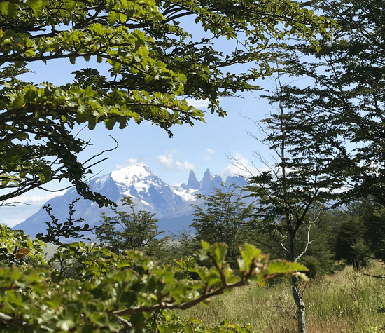 Vista de la Cordillera Paine